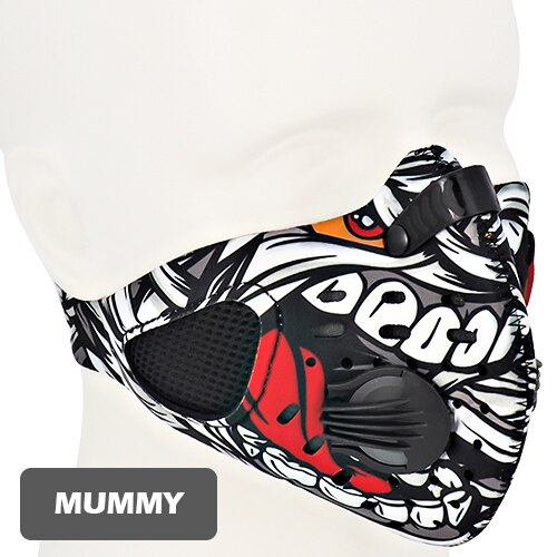 Anti-Pollution Mask